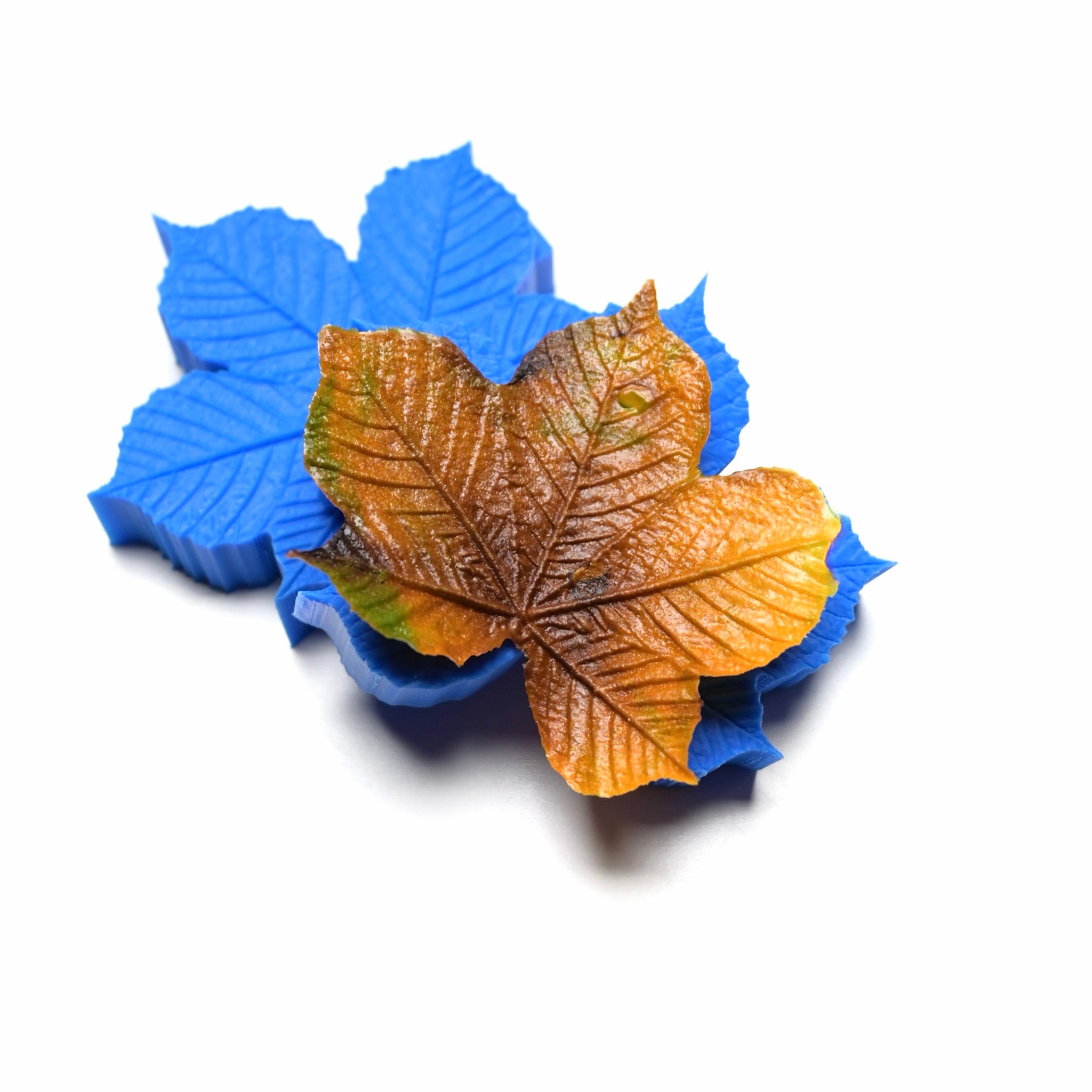 PRESSOIR FEUILLE DE MARRONNIER