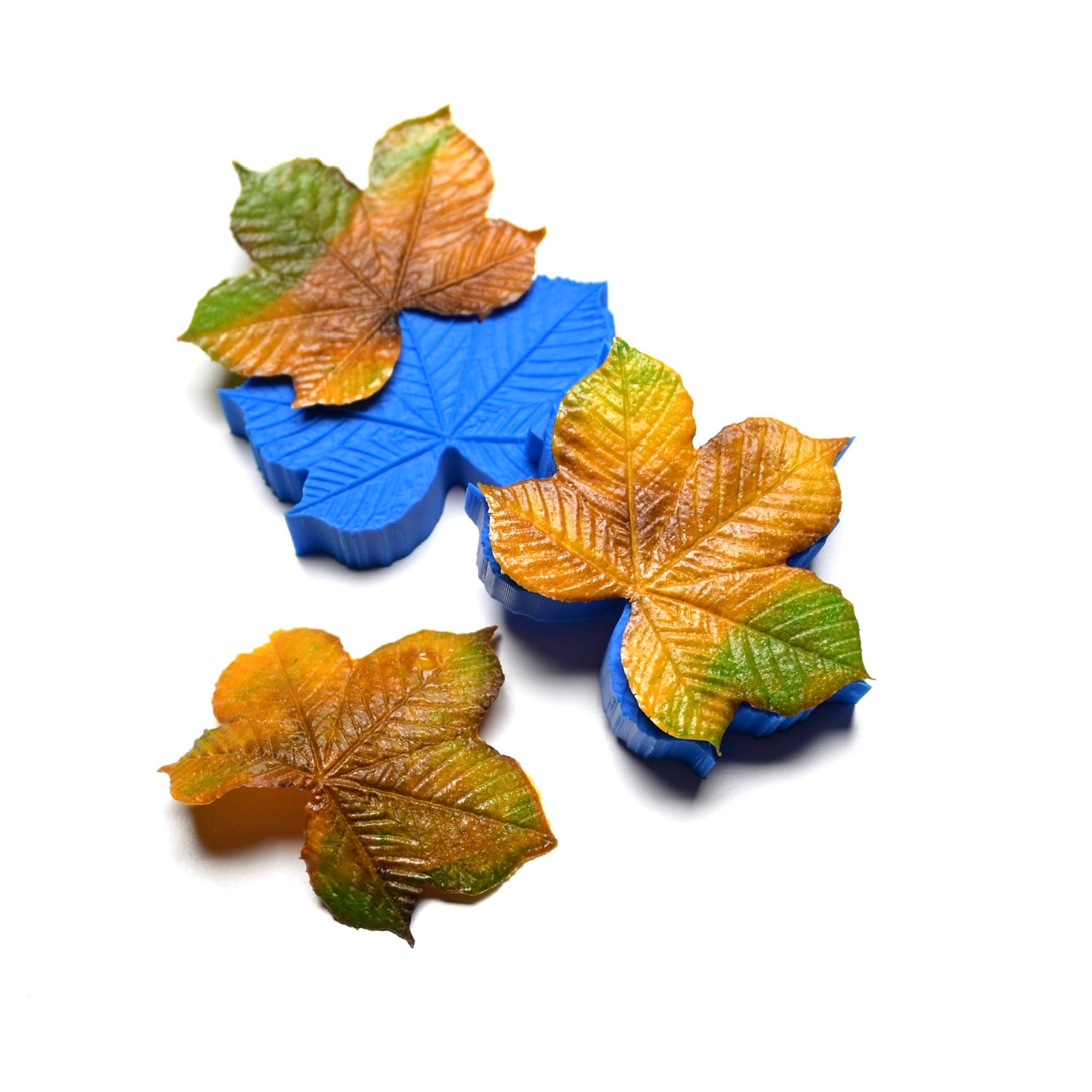 PRESSOIR FEUILLE DE MARRONNIER