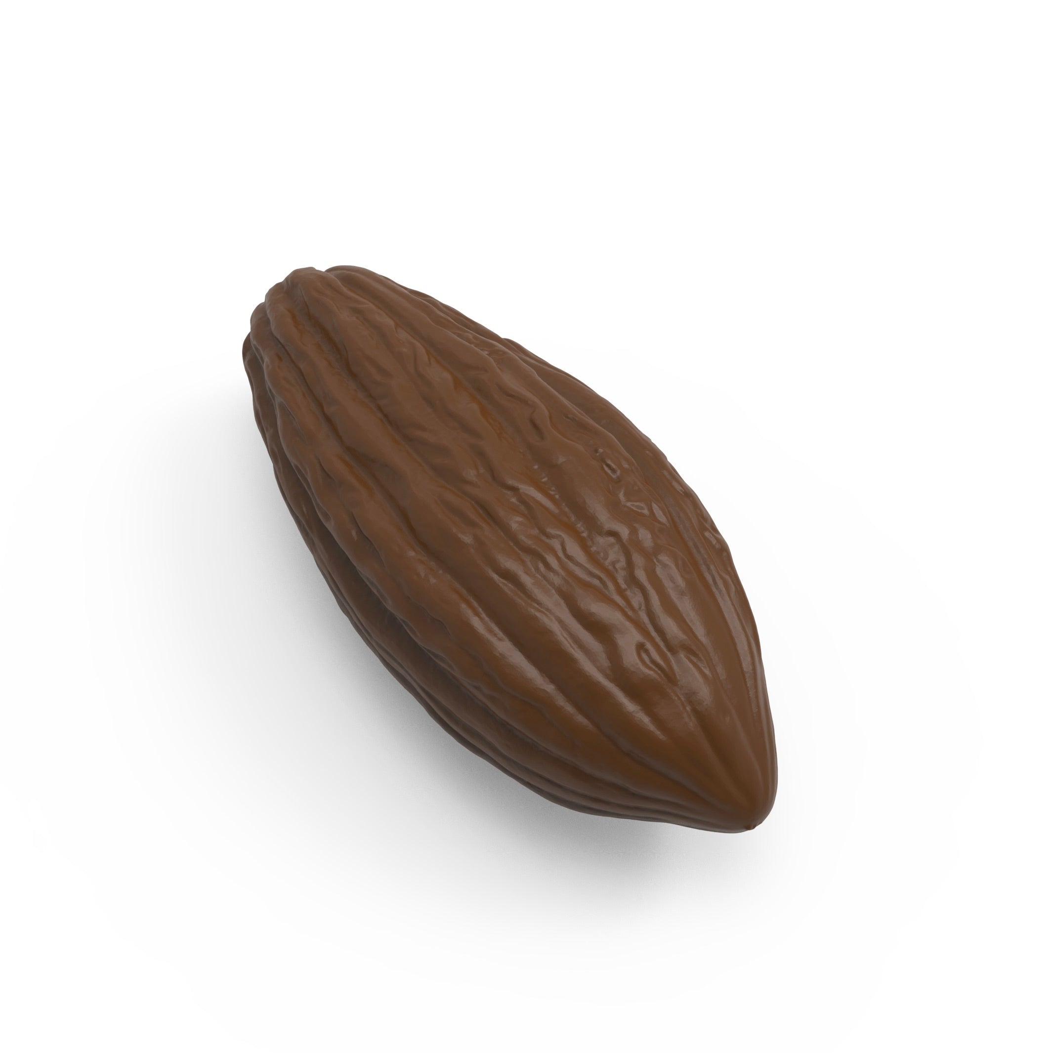 MOULE THERMOFORMÉ CABOSSE