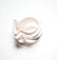Ensemble de 3 emporte-pièces poisson, matériau PLA blanc, tailles variées pour créations marines