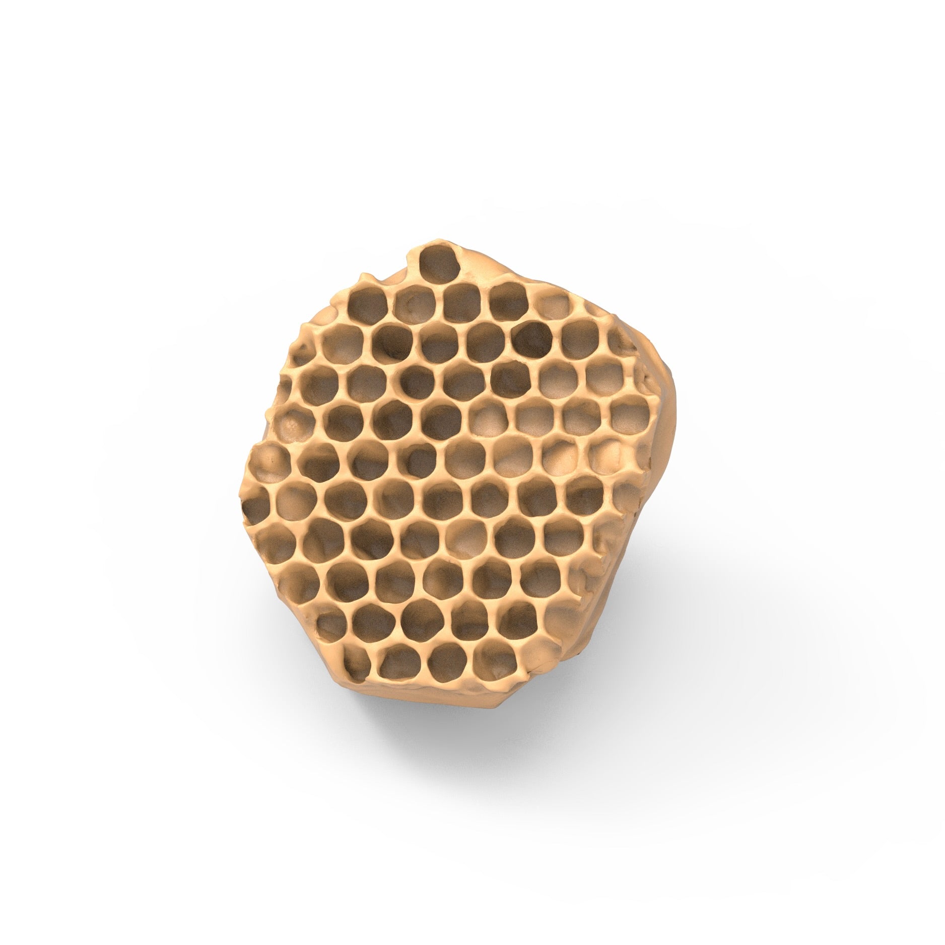 HONEYFRAG3D3.497.jpg