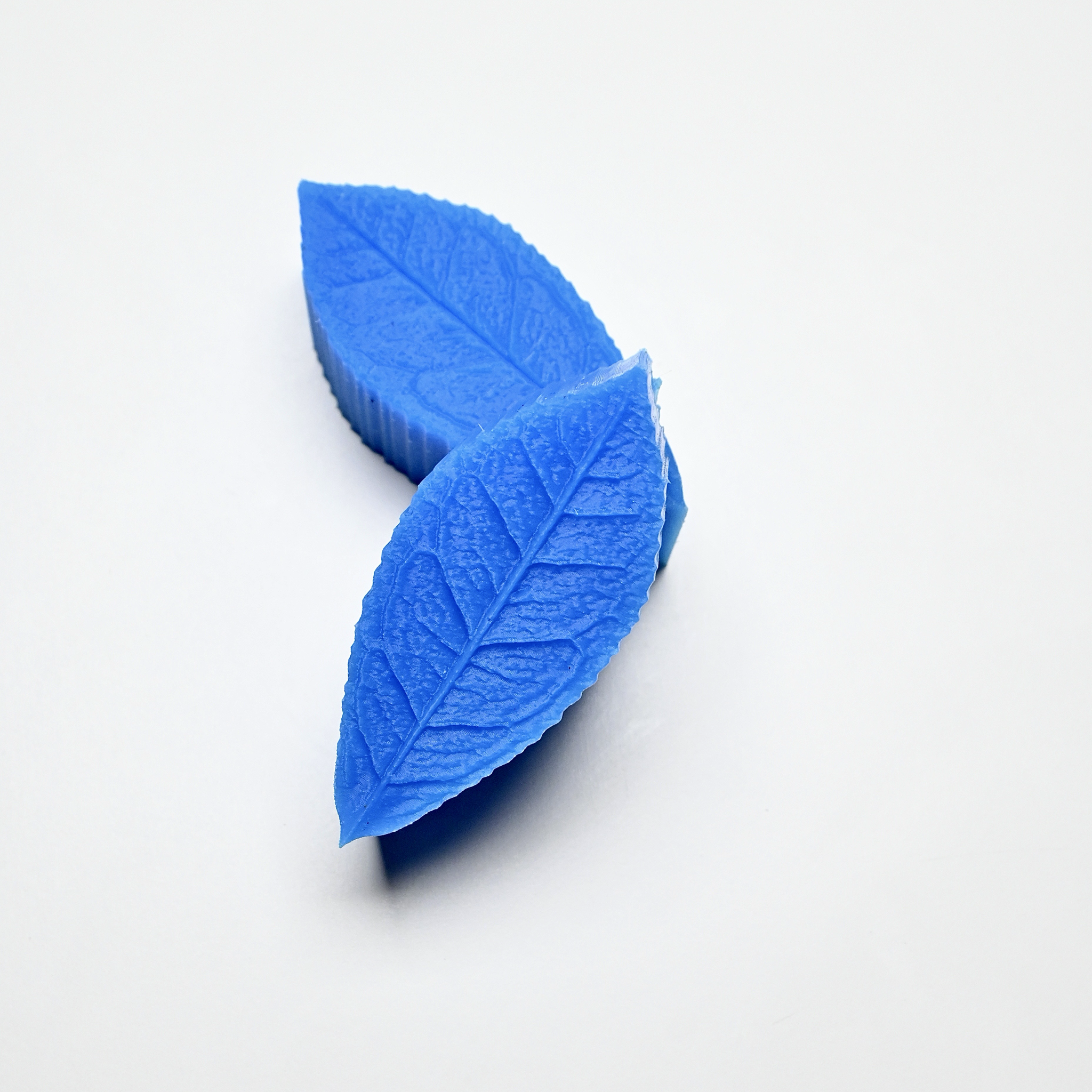 PRESSOIR FEUILLE DE THÉIER