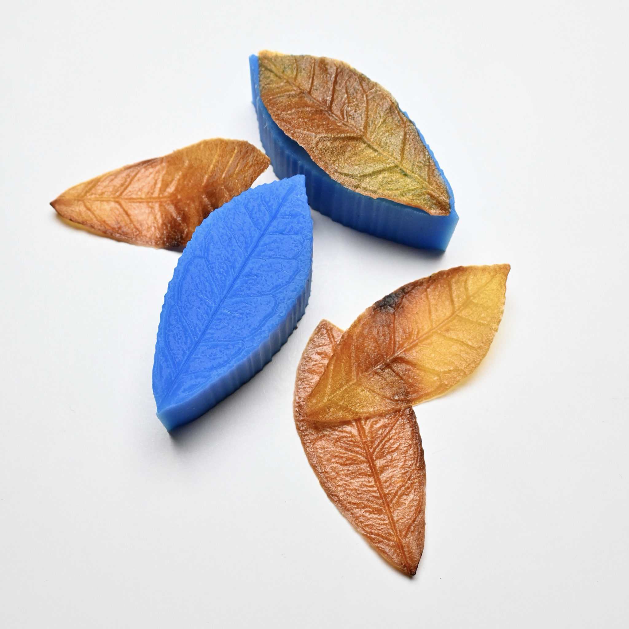 PRESSOIR FEUILLE DE THÉIER