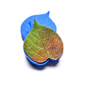 PRESSOIR FEUILLE DE TILLEUL