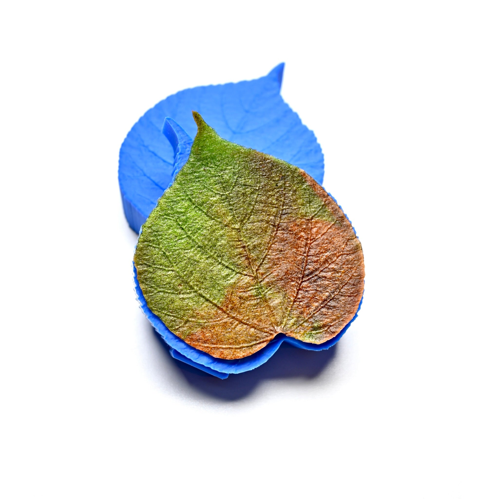 PRESSOIR FEUILLE DE TILLEUL