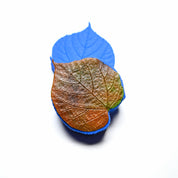 PRESSOIR FEUILLE DE TILLEUL