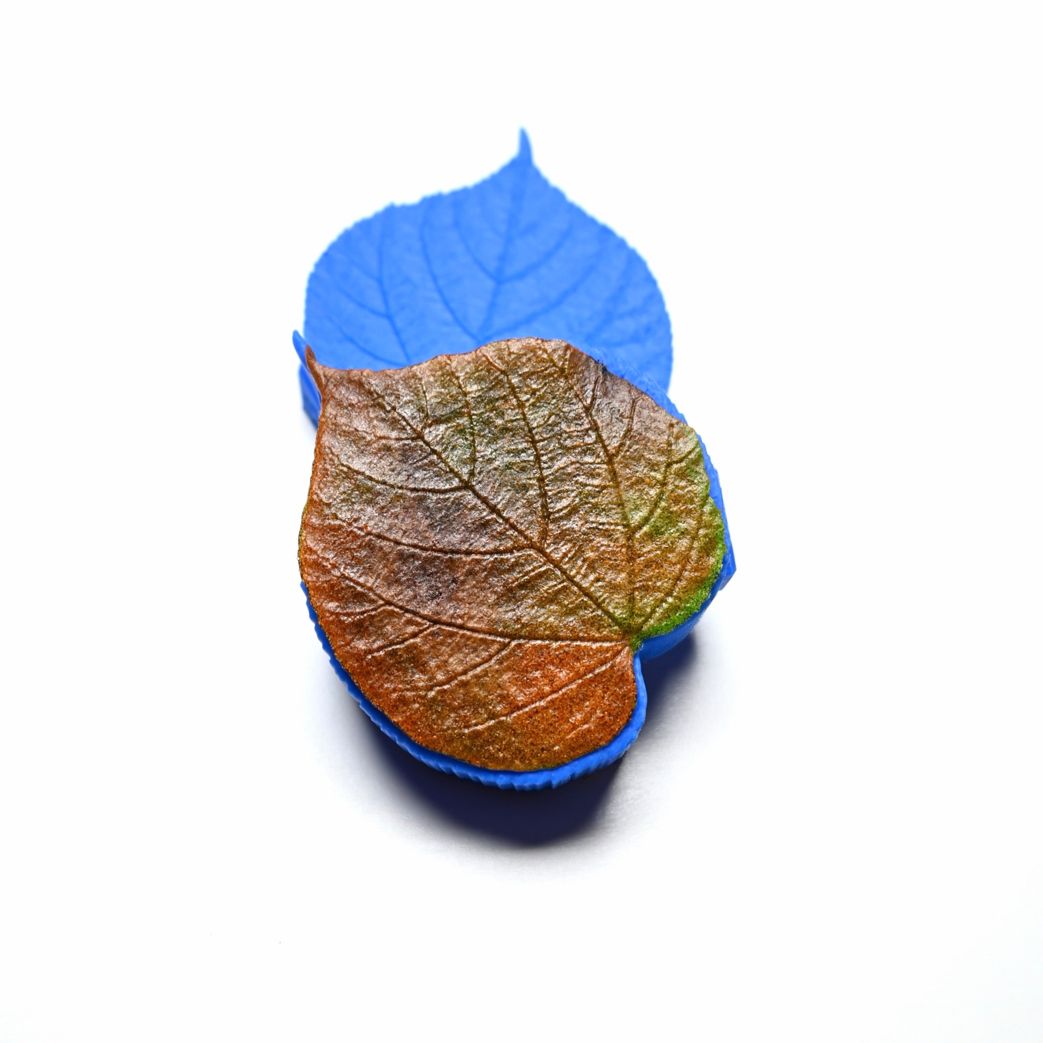 PRESSOIR FEUILLE DE TILLEUL
