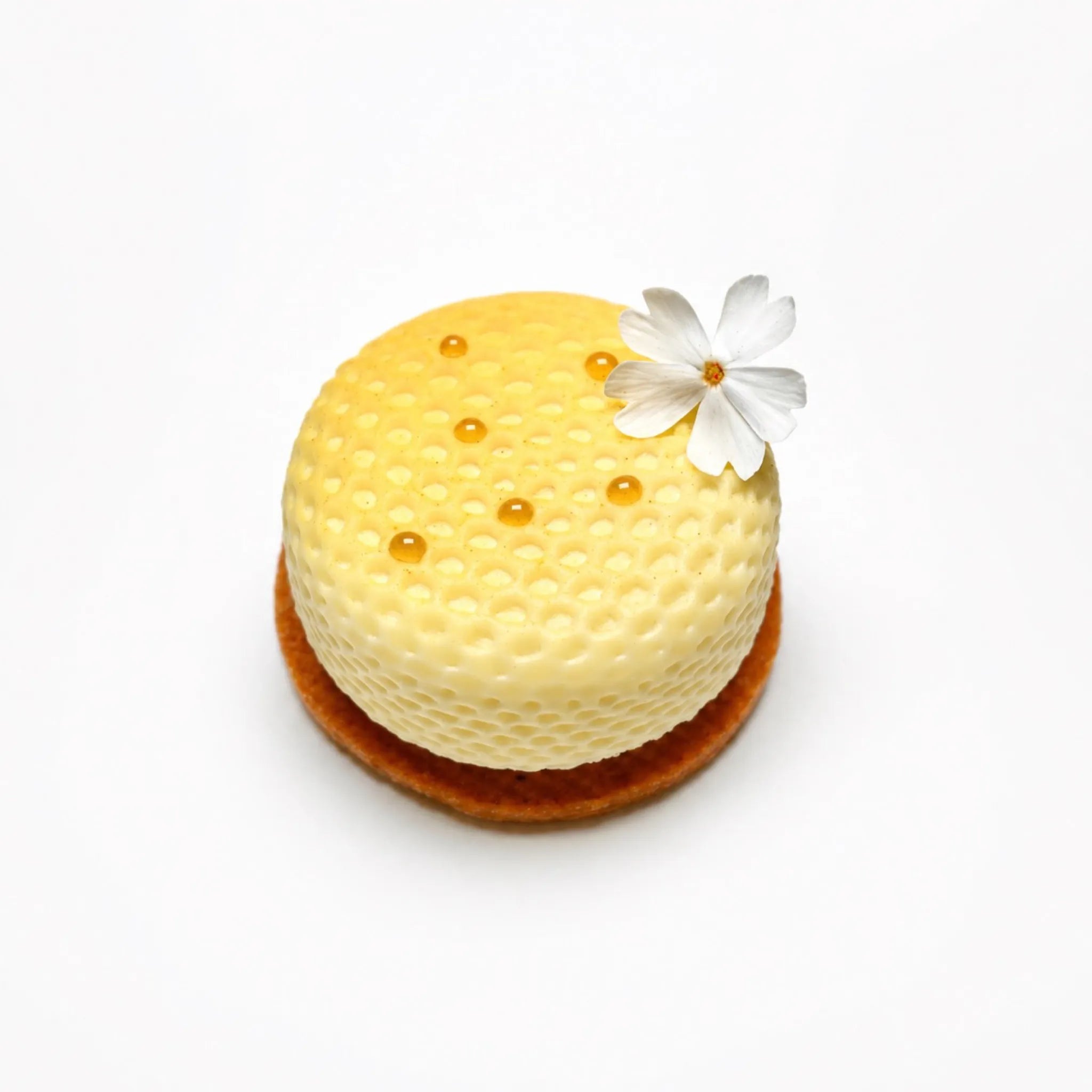 MINI ALVEA MOLD
