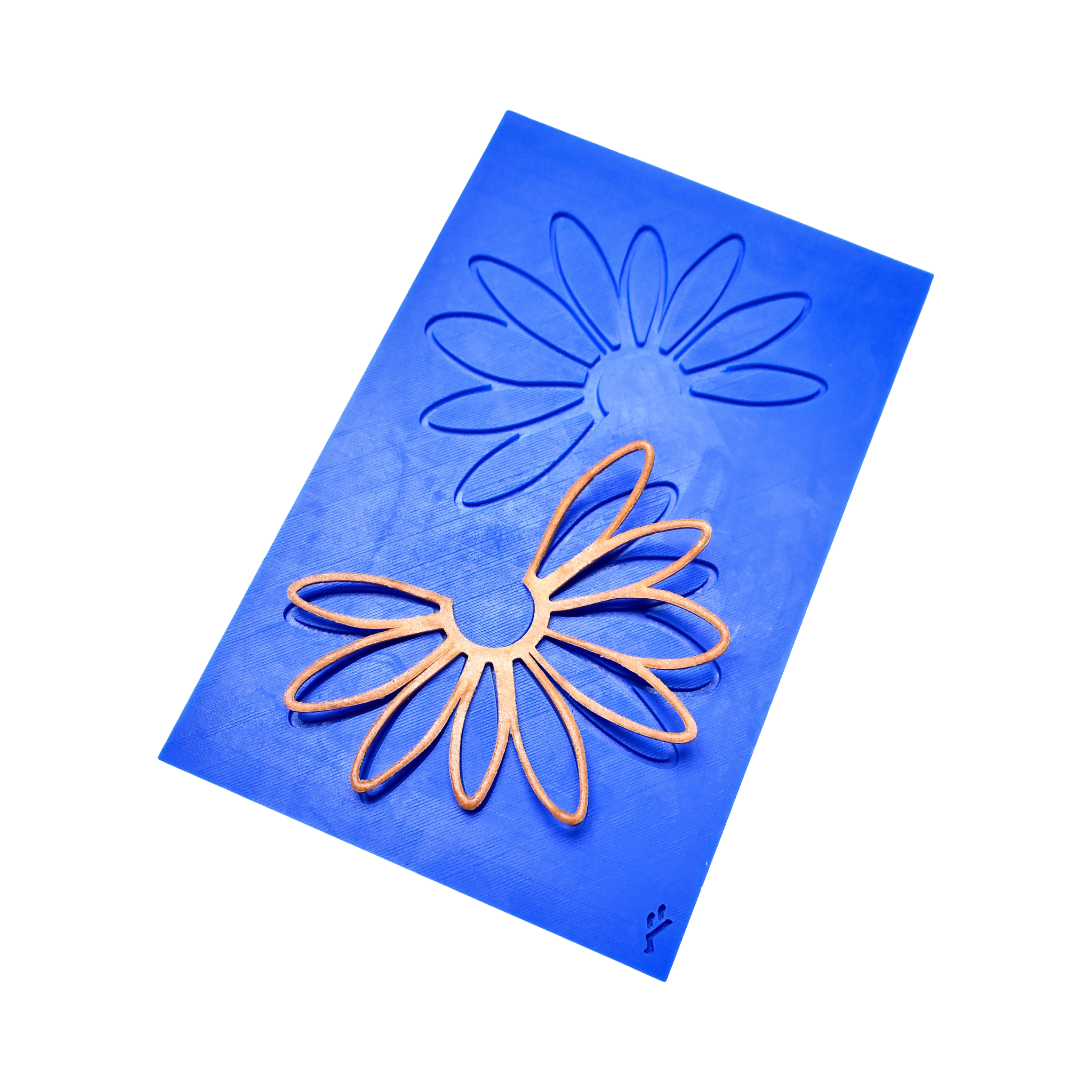 IMG_3479.png
