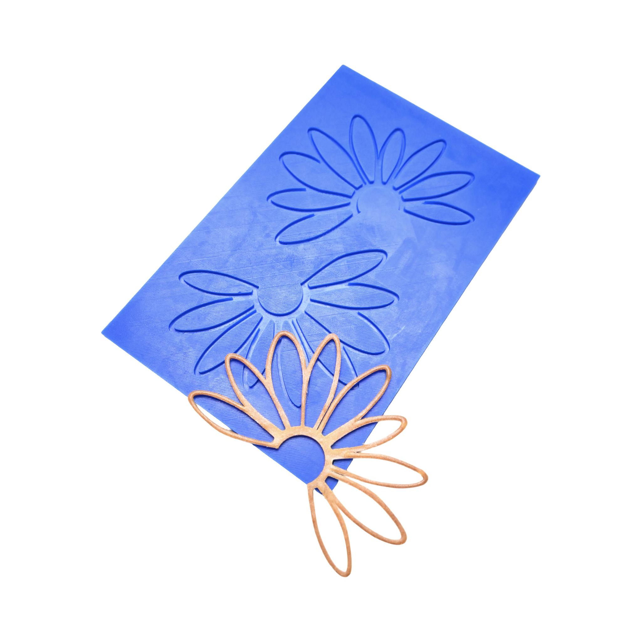 IMG_3482.png