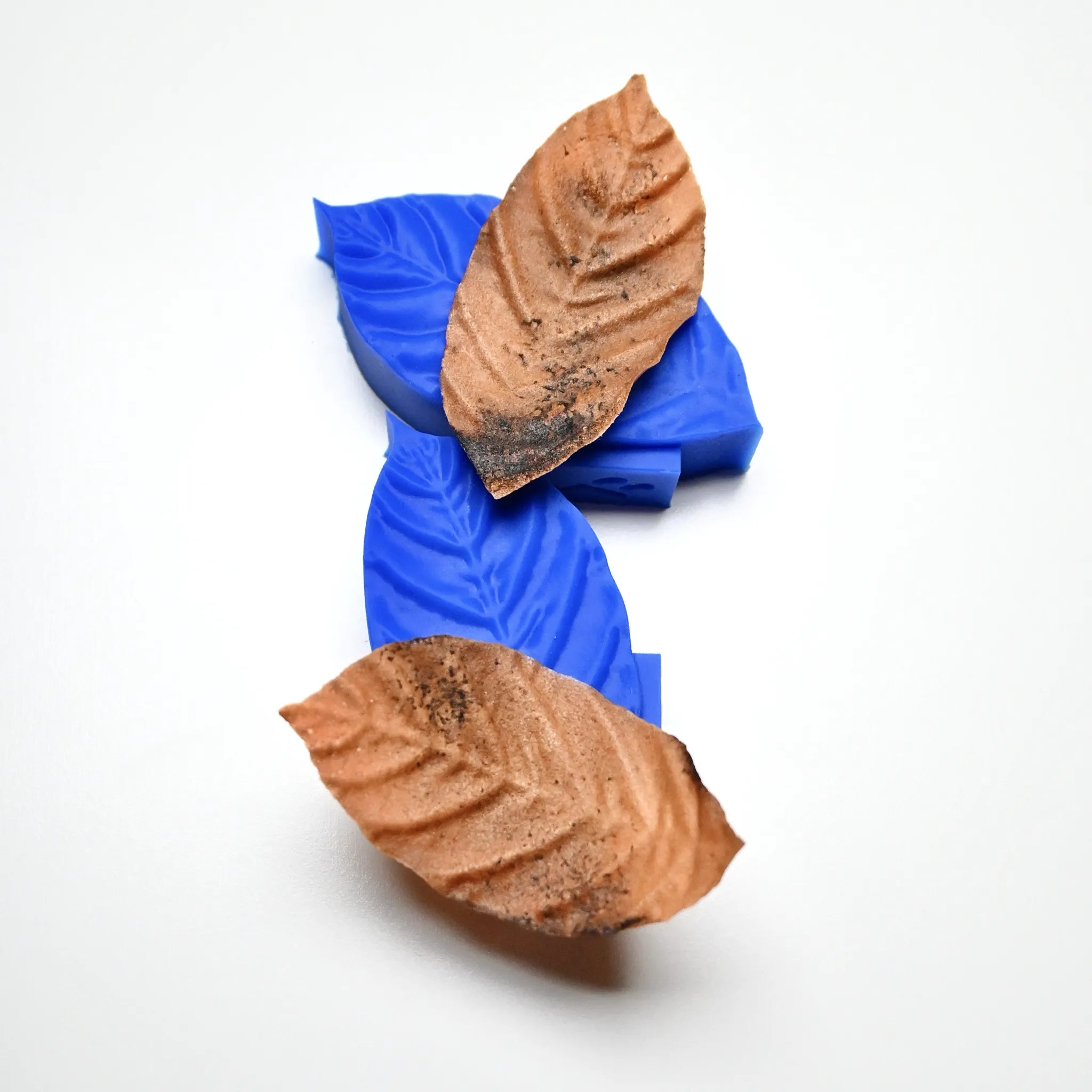 PRESSOIR FEUILLE DE CAFÉIER