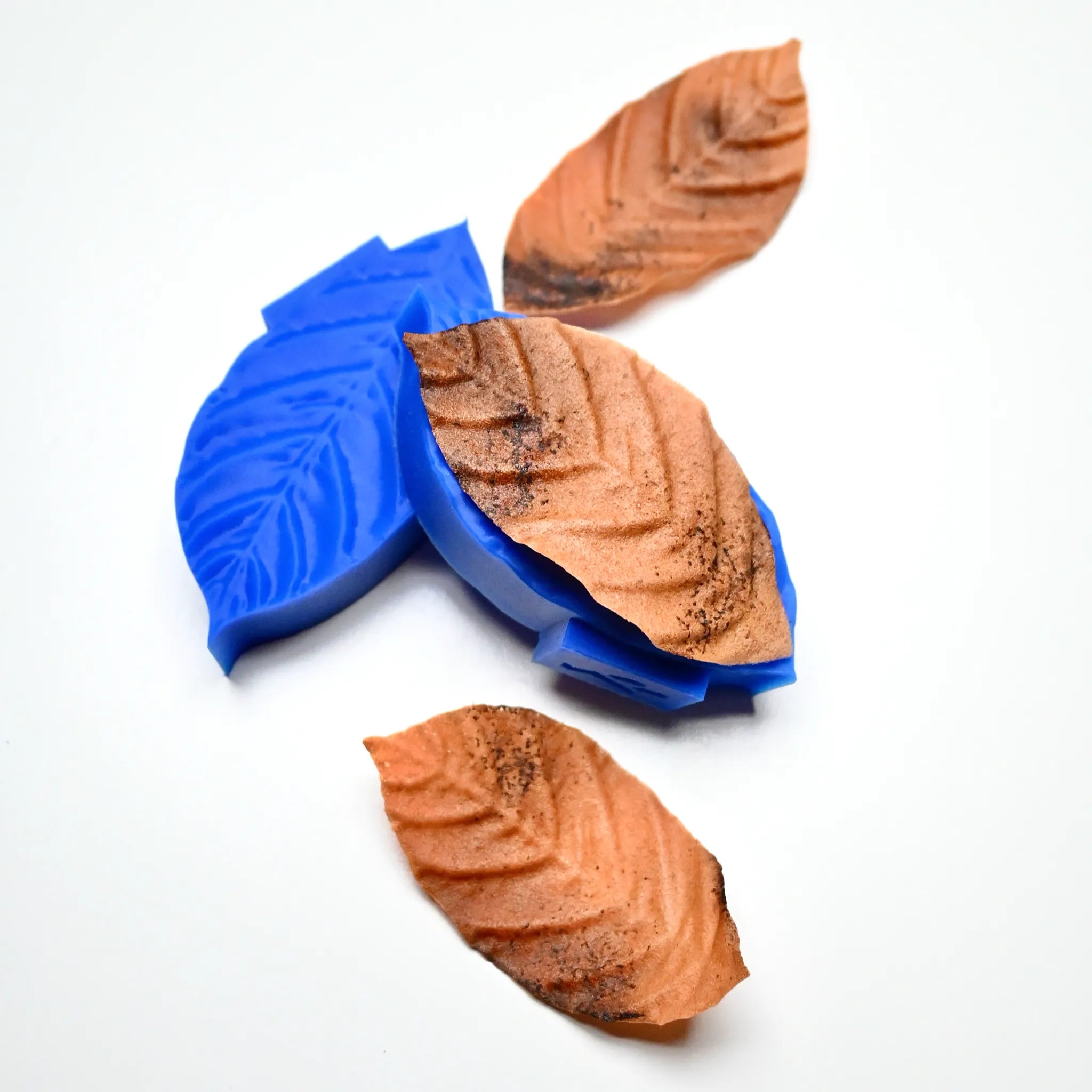 PRESSOIR FEUILLE DE CAFÉIER