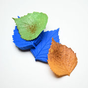 PRESSOIR FEUILLE DE BOULEAU