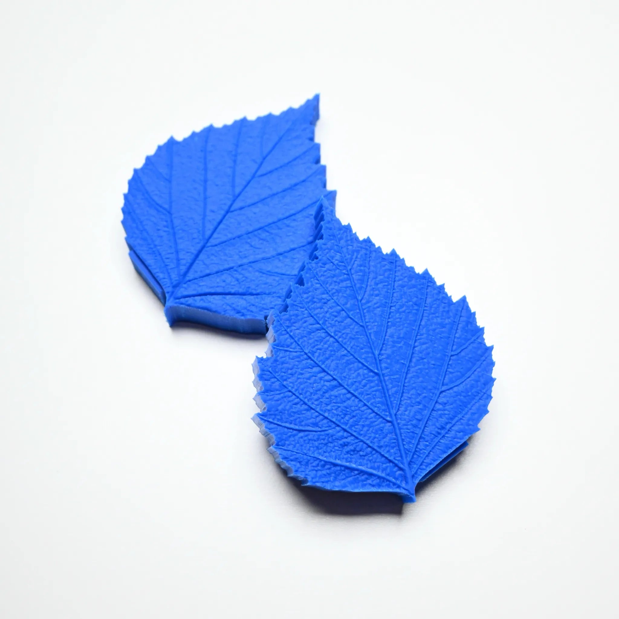 PRESSOIR FEUILLE DE BOULEAU