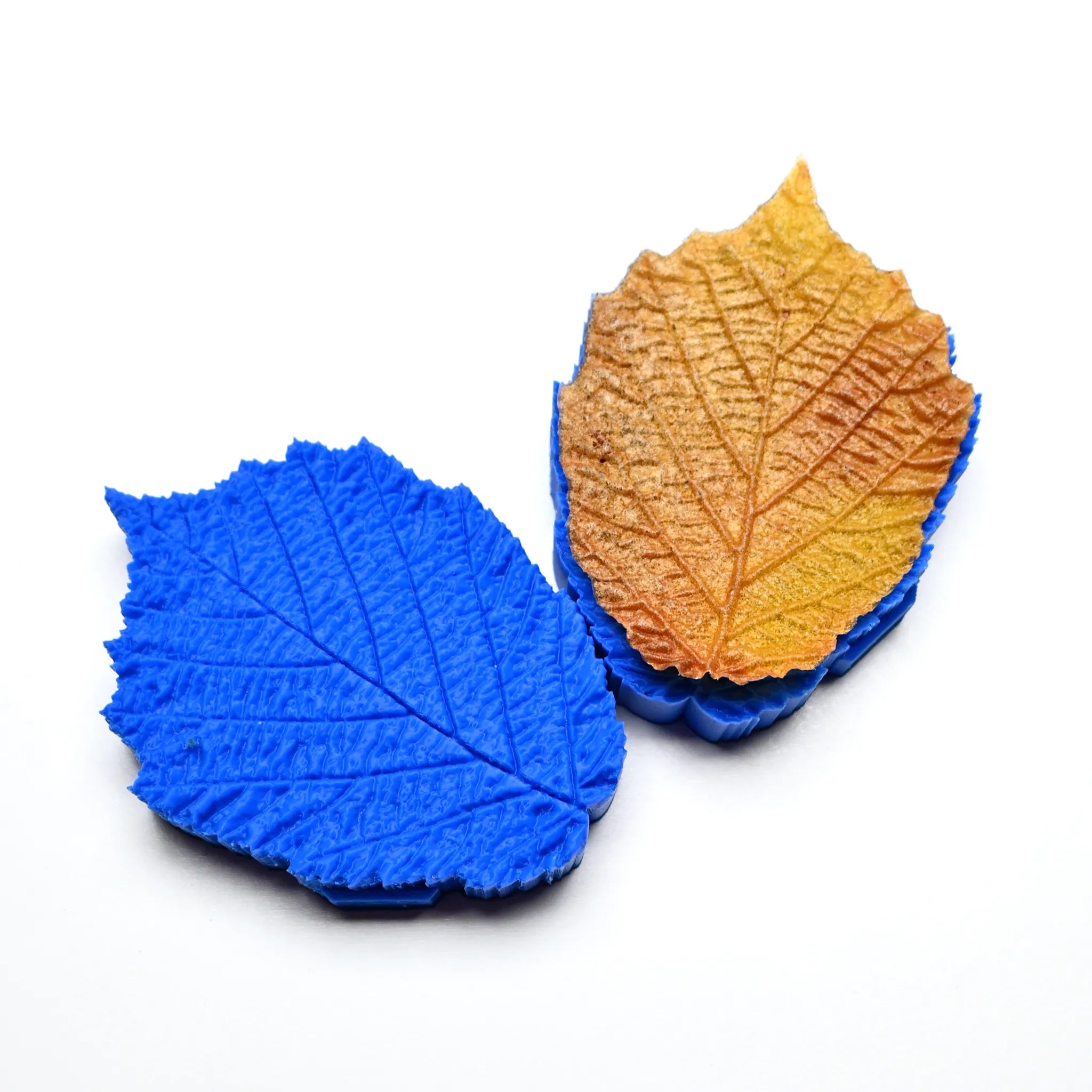 PRESSOIR FEUILLE DE NOISETIER