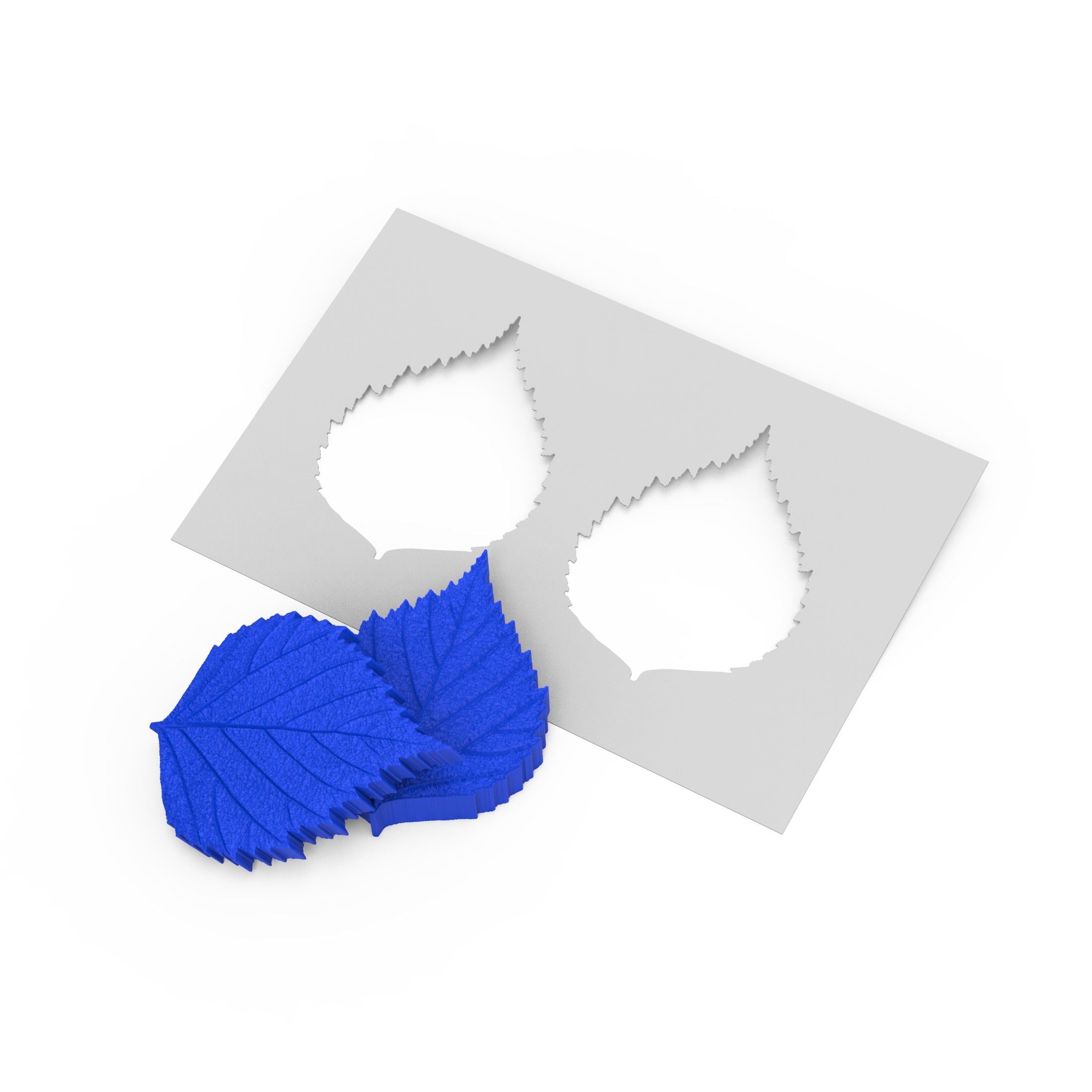 PRESSOIR FEUILLE DE BOULEAU